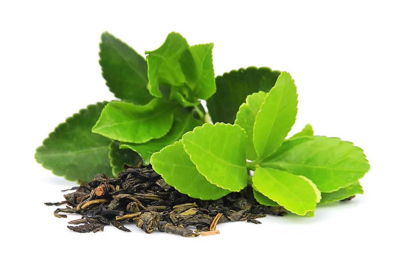 Premium Black Tea